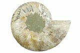 Cut & Polished Ammonite Fossil (Half) - Madagascar #347541-1
